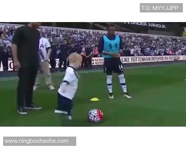 世界足球明星油画的魅力与艺术价值探讨与欣赏之旅 世界足球明星油画的魅力与艺术价值探讨与欣赏之旅