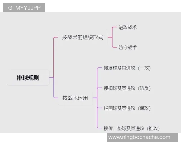 广州排球队技术探讨:提升战术水平与球员素质的关键要素分析 广州排球队技术探讨:提升战术水平与球员素质的关键要素分析