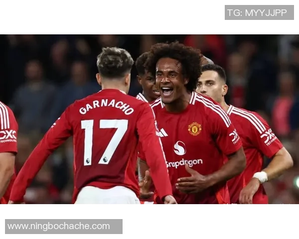 现役篮球足球明星阵容大揭秘各大球星精彩表现一览无余