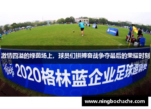 激情四溢的绿茵场上，球员们拼搏奋战争夺最后的荣耀时刻