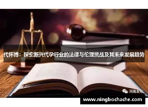 代怀博：探索新兴代孕行业的法律与伦理挑战及其未来发展趋势